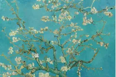 Van Gogh Museum: Guided Tour