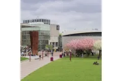 Van Gogh Museum - Image 2